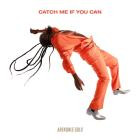 VA - Catch Me If You Can Music From The Motion Picture