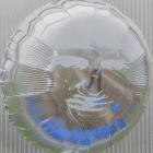 Dari Bay-Surprise Wish-WEB-2026-ENRiCH