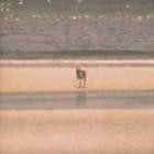 Jorge Velez-Territories- LIES046 -24BIT-WEB-FLAC-2014-BABAS