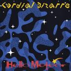 Hello Meteor - Cordial Bizarre