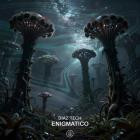 Diaz Tech-Enigmatico- GS102 -16BIT-WEB-FLAC-2026-BABAS