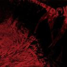 Perfectblue - Acceptance In Suffering