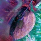 Gannein-Gannein  Remixed  Vol 1  PCRF Solidarity Compilation - GNR1SC -16BIT-WEB-FLAC-2025-TR