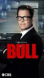 Bull - Staffel 4