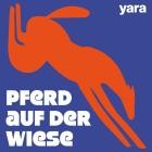 Yara - Pferd auf der Wiese