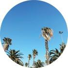 Demuja-Soul Brother- PALMS013 -16BIT-WEB-FLAC-2018-BABAS