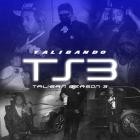 Talibando - TS3