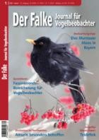 Der Falke - Journal fuer Vogelbeobachter 01/2025