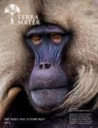 TERRA MATER 01/2025