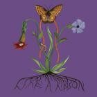 John Glacier - Like A Ribbon (Deluxe)