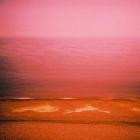 Maps x Diagrams-Returning Light- HOMEN255 -24BIT-WEB-FLAC-2026-BABAS