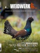 WEIDWERK 04/2024