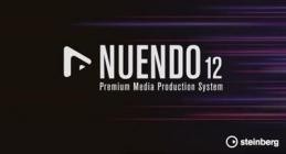 Steinberg Nuendo v12.0.50