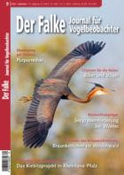 Der Falke - Journal fuer Vogelbeobachter 09/2026