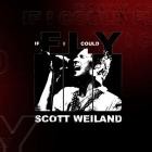 Scott Weiland - If I Could Fly
