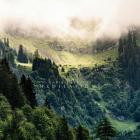 Chris Snelling - Meditations