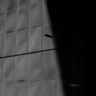 Stigmatique - Cyberspace