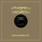 Andromeda Orchestra - You Got Just the Right Thing