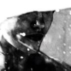 Purgate - Leavings