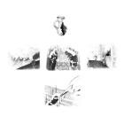 The Drin - I Lost My Way For Centuries