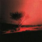 Joji - Piss In The Wind