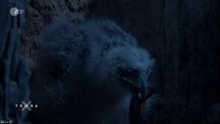 Terra.X.Asien.Wilder.Norden.GERMAN.DOKU.HDTVRip.x264-TMSF