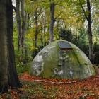 In Transit-In Transit- FELT01 -16BIT-WEB-FLAC-2025-AGITB