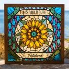 This Wild Life-Petaluma-24BIT-88KHZ-WEB-FLAC-2018-FLACCiD