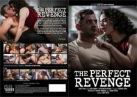 The Perfect Revenge
