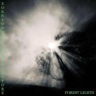Sorry We Weren't Here Before - Forest Lights