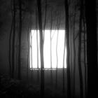 Torzs - Menedek
