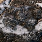 B E N N - Chaos and Order