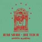 Aura Safari x Jimi Tenor - Sensory Blending