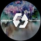 VA-OSMVA033 House Edition- OSMVA033 -24BIT-WEB-FLAC-2025-BABAS