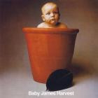 Barclay James Harvest - Baby James Harvest