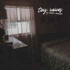 Tiny Voices - My Minds Recession