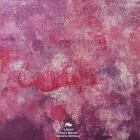 Raiju Manah-Believe Nothing- LR049 -16BIT-WEB-FLAC-2019-BABAS