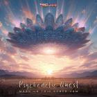 Psychedelic Quest - Morning Trip Space Jam