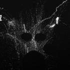 Christian Prommer - Rhythmique Nocturne