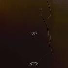 Cavity - Yoru