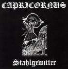 Stahlgewitter - Staat aus Stahl