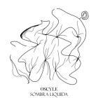 Oscyle-Sombra Liquida- UR215 -24BIT-WEB-FLAC-2025-BABAS