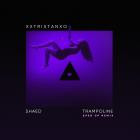 Shaed-Trampoline  Sped Up -Single-16BIT-WEB-FLAC-2023-SYMPHONY