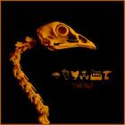 Gallus-Life Is Bliss-24BIT-48KHZ-WEB-FLAC-2026-FLACCiD