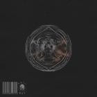 VA-PRTL WRX 003- PRTL036 -24BIT-WEB-FLAC-2025-BABAS