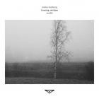 Miska Lamberg - - Evening, Window  