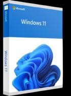 Microsoft Windows 11 Pro 21H2 Build 22000.526 (x64)