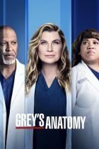 Grey's Anatomy - XviD - Staffel 9