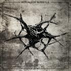 VA - Rituals of Noise