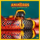 The Animeros - Que Barbaro